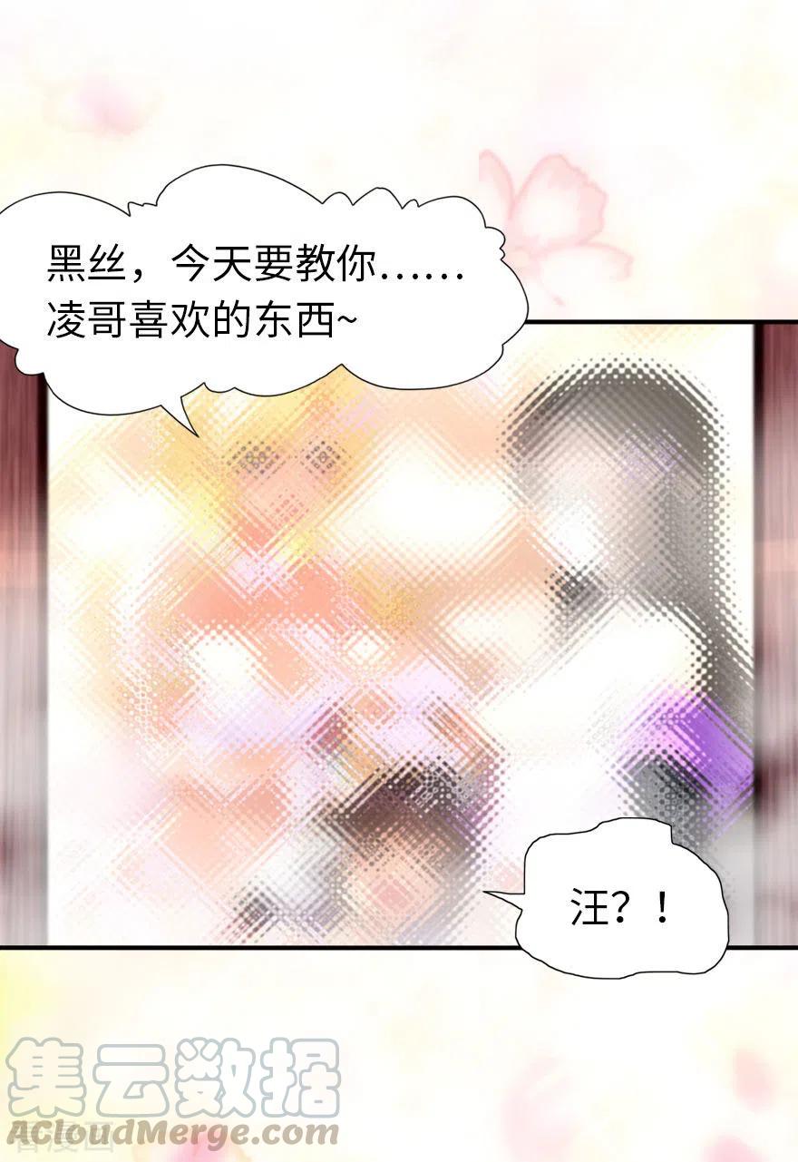 我的守护女友221