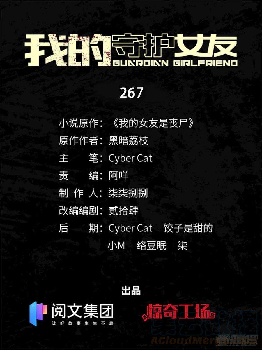 我的守护女友267
