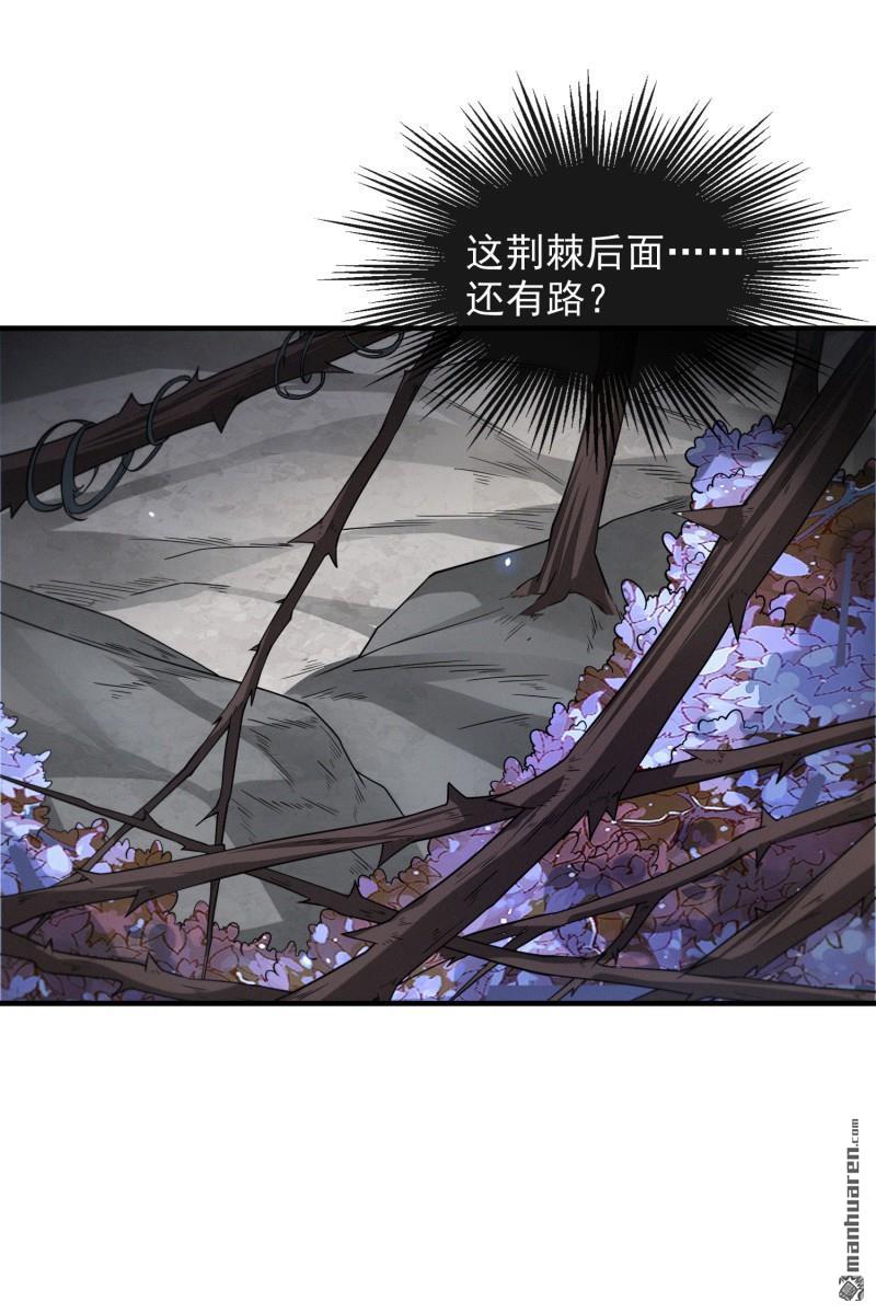 明将军之偷天换日第42话 真相大白