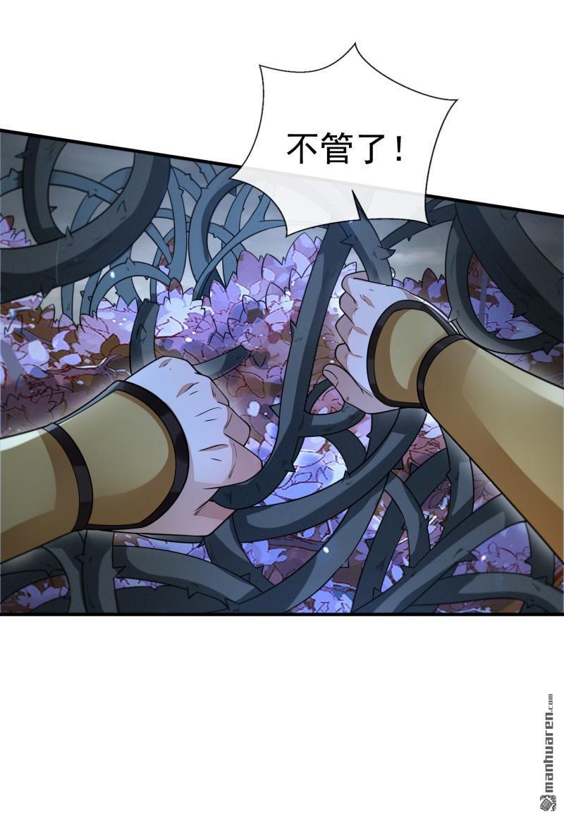 明将军之偷天换日第42话 真相大白