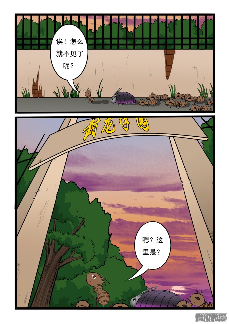 噬龙蚁第八话
