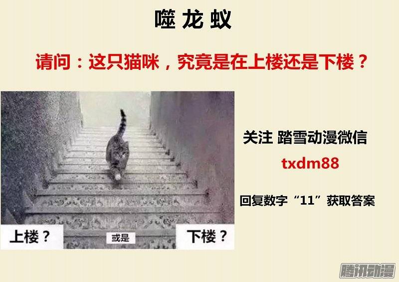 噬龙蚁第二十六话