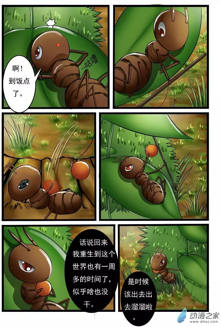噬龙蚁第02话
