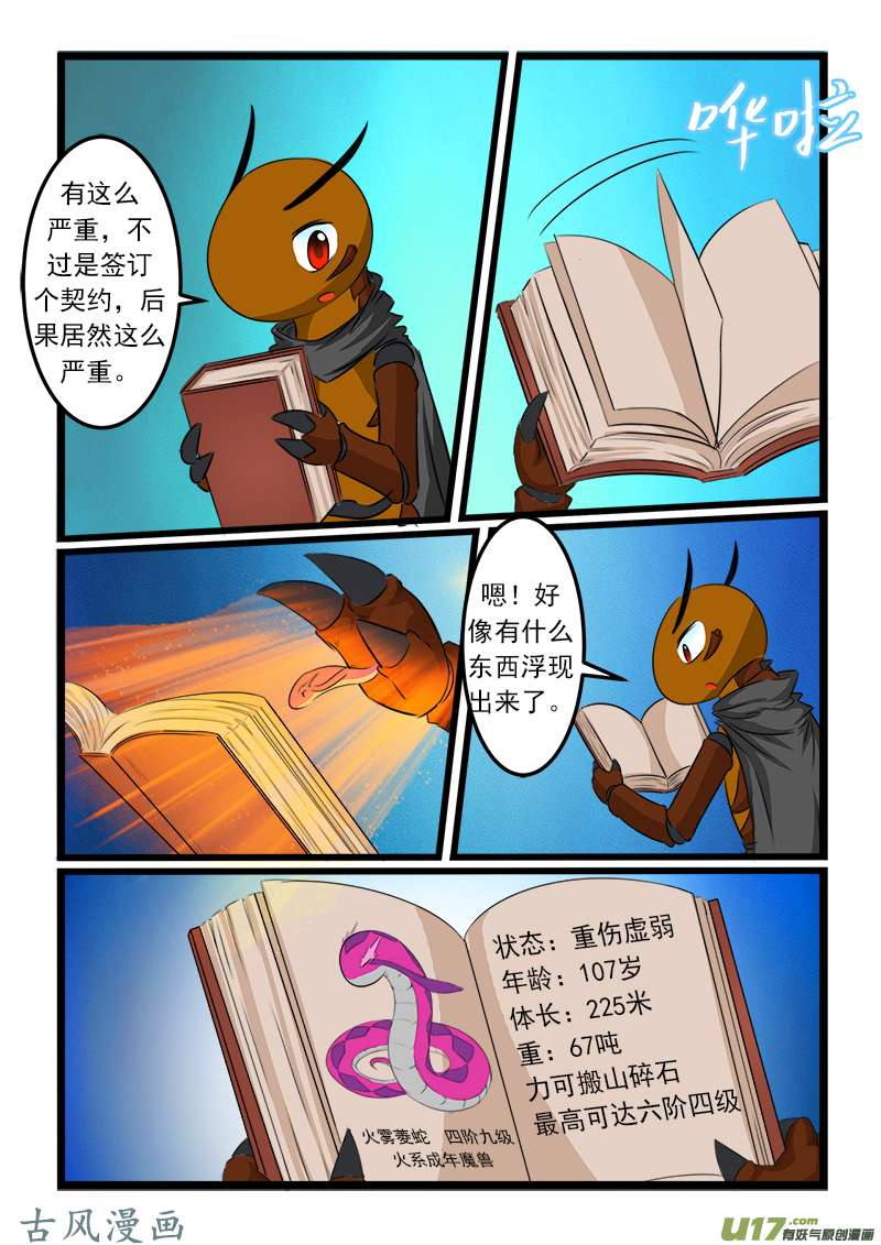 噬龙蚁第七十七话