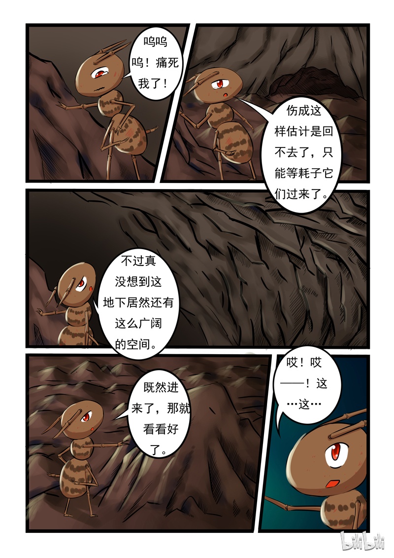 噬龙蚁13 013