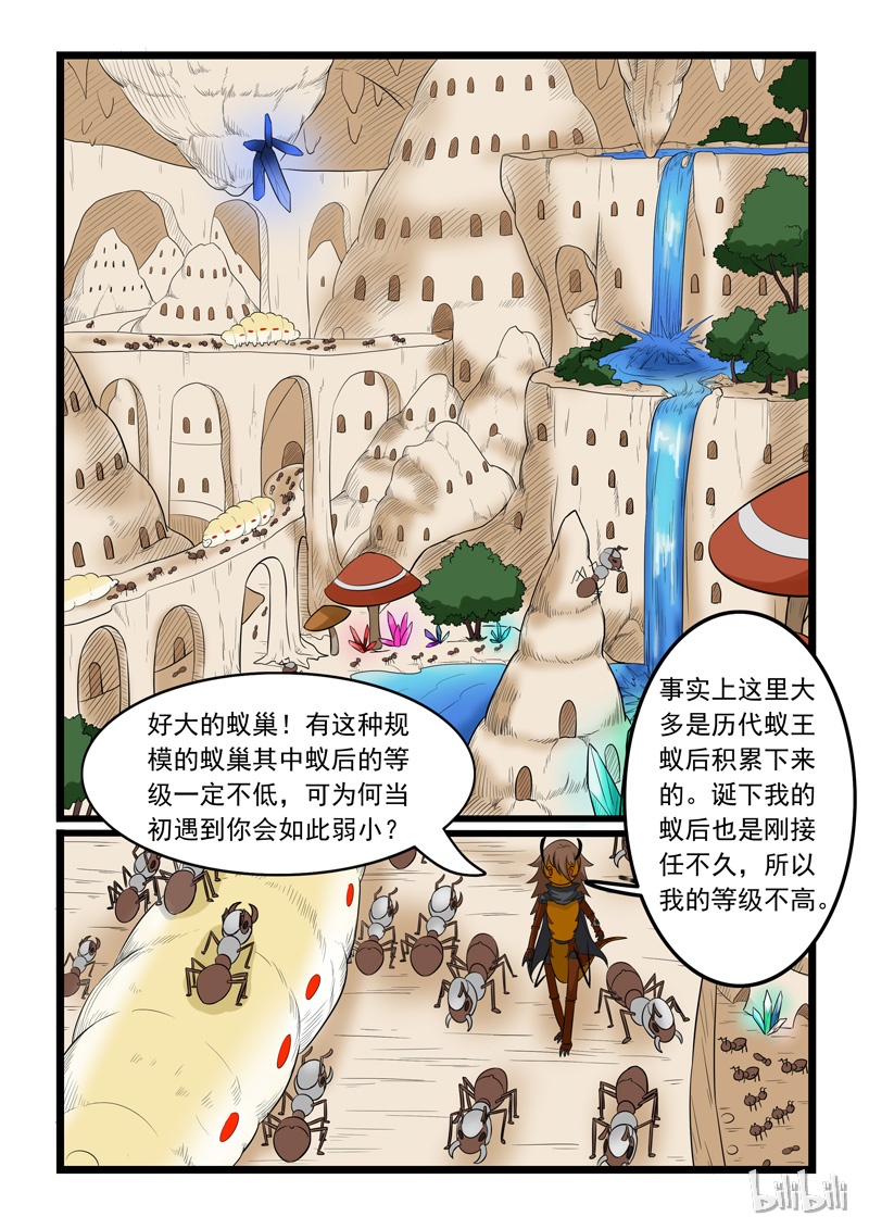 噬龙蚁161