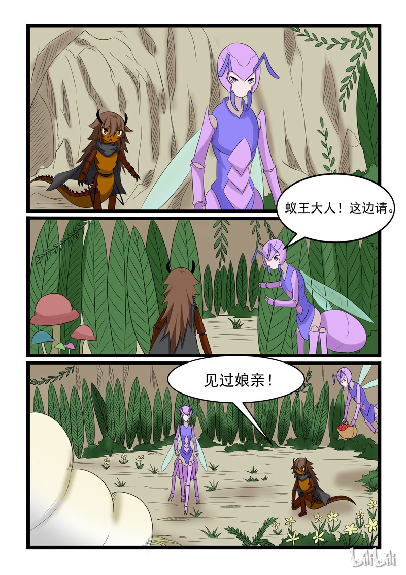 噬龙蚁161
