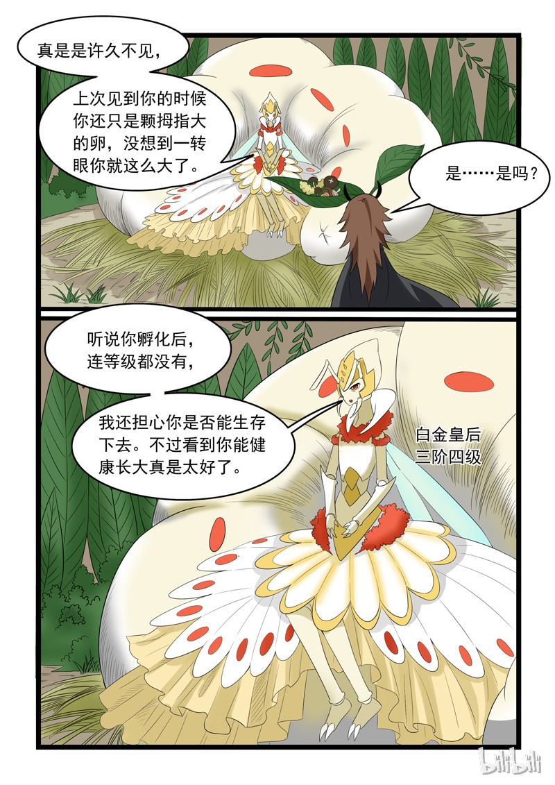 噬龙蚁161