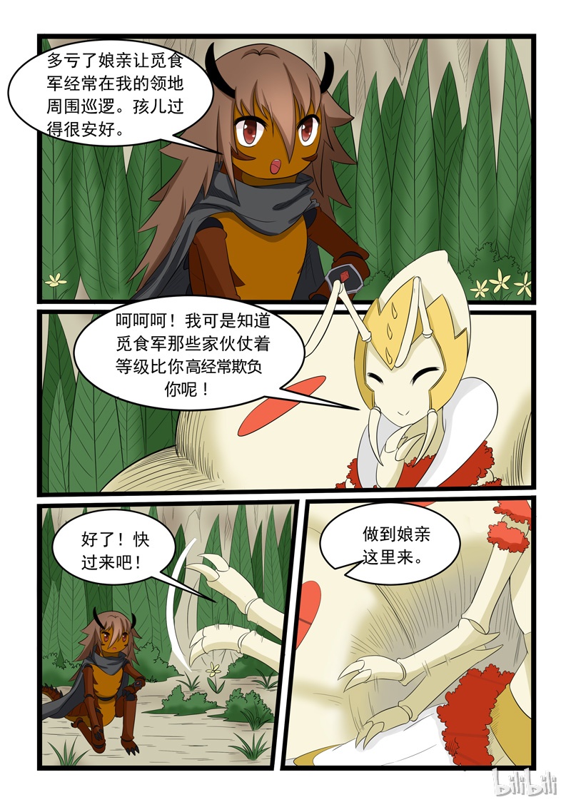噬龙蚁161