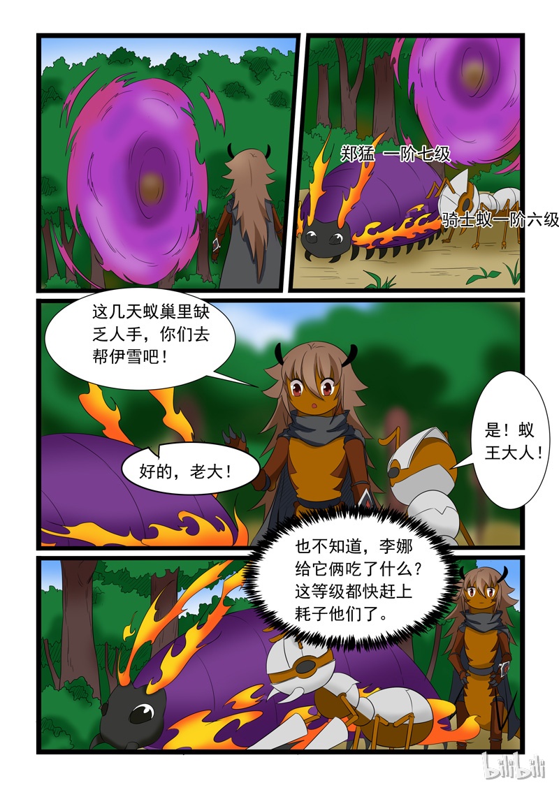 噬龙蚁174