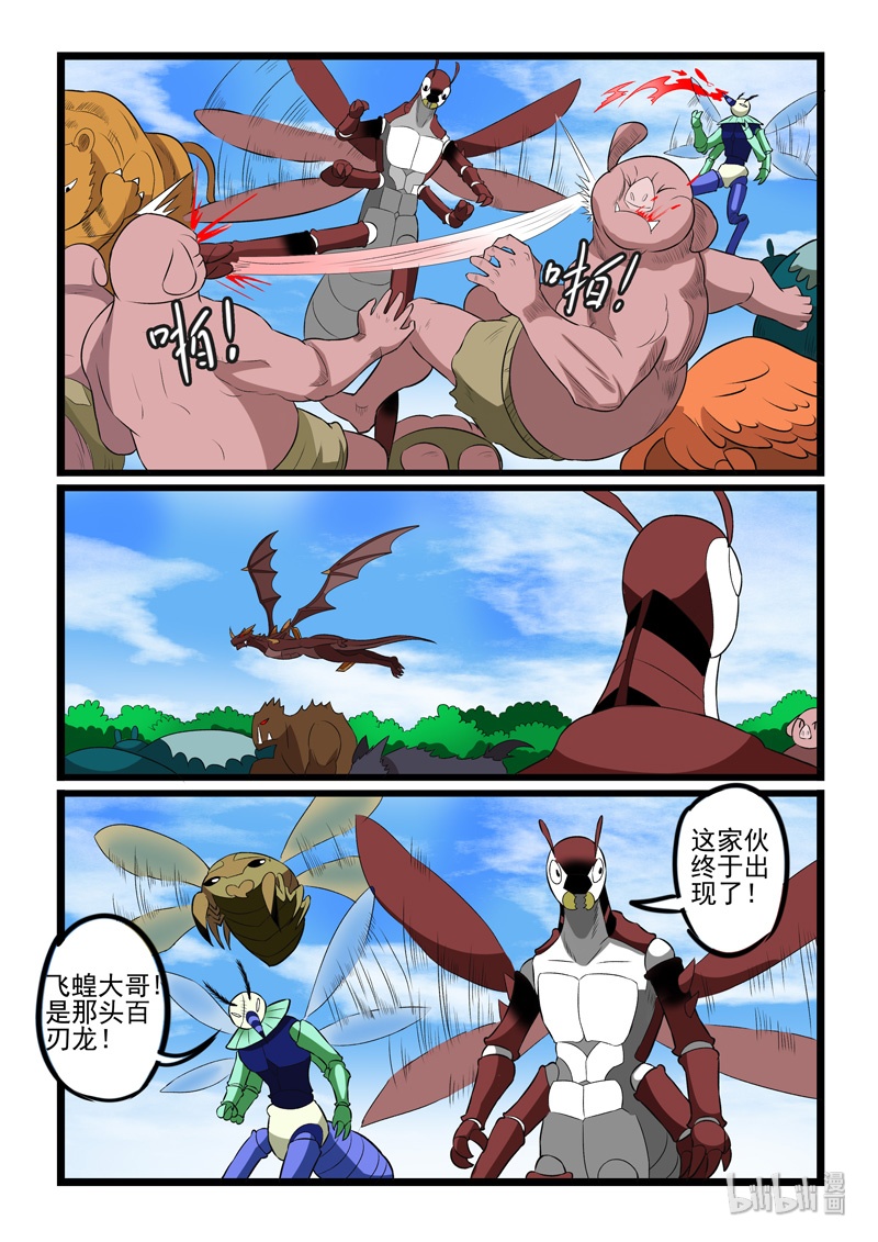 噬龙蚁240 240