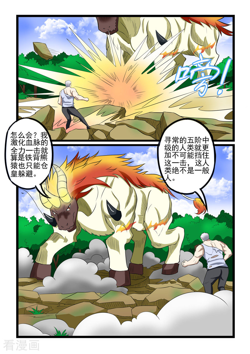 噬龙蚁234话