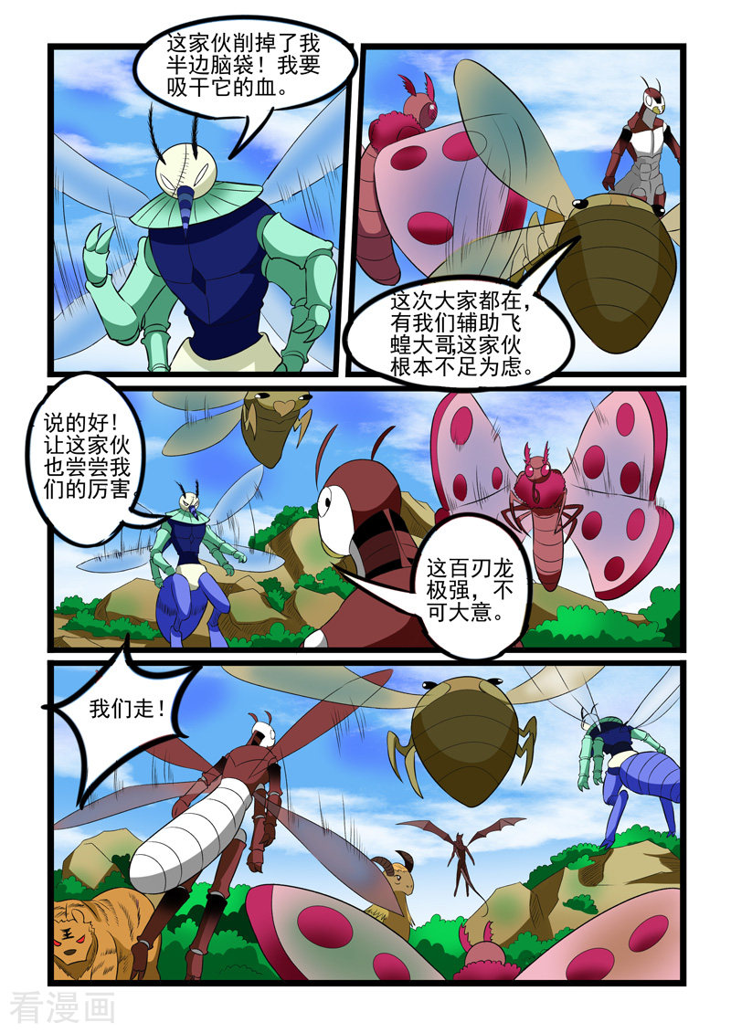 噬龙蚁240话