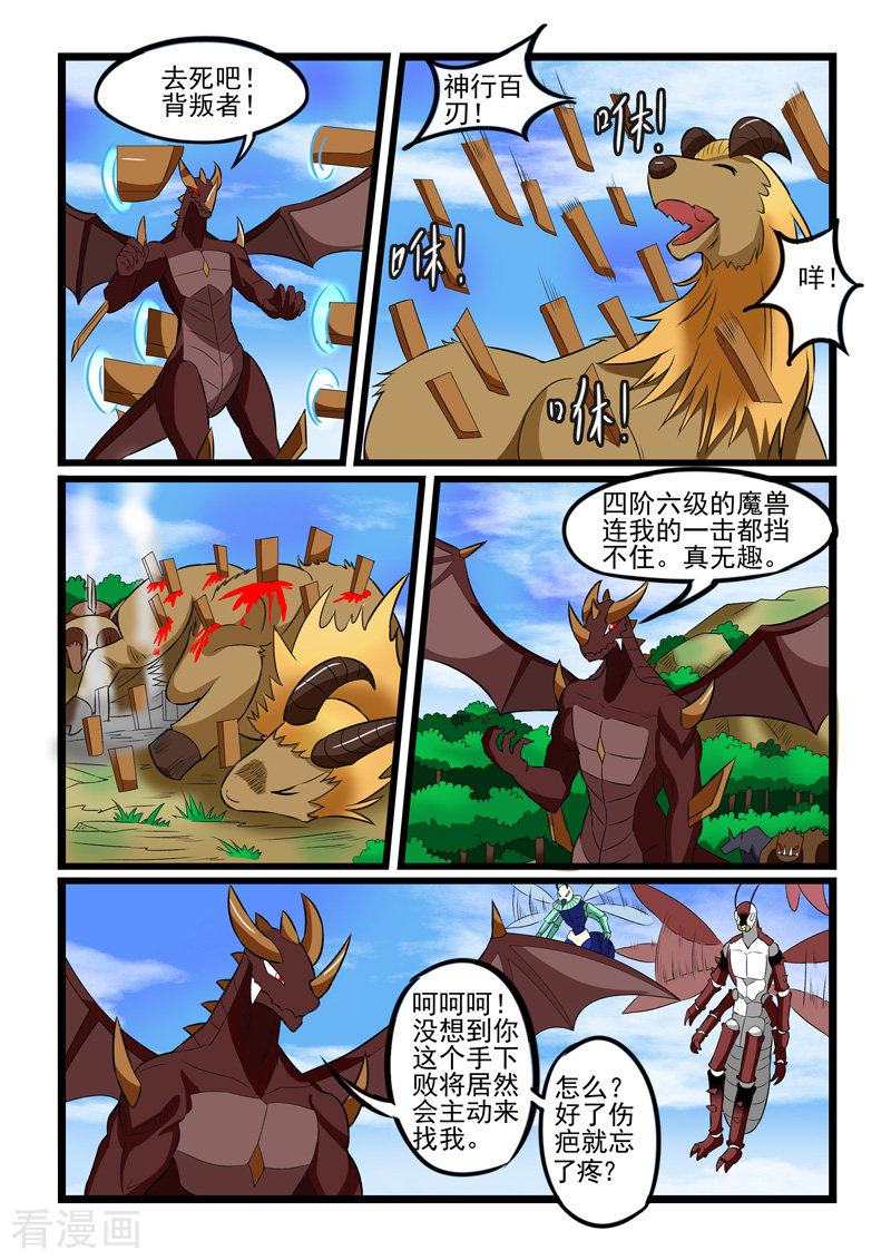 噬龙蚁240话