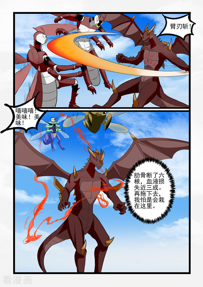噬龙蚁241话