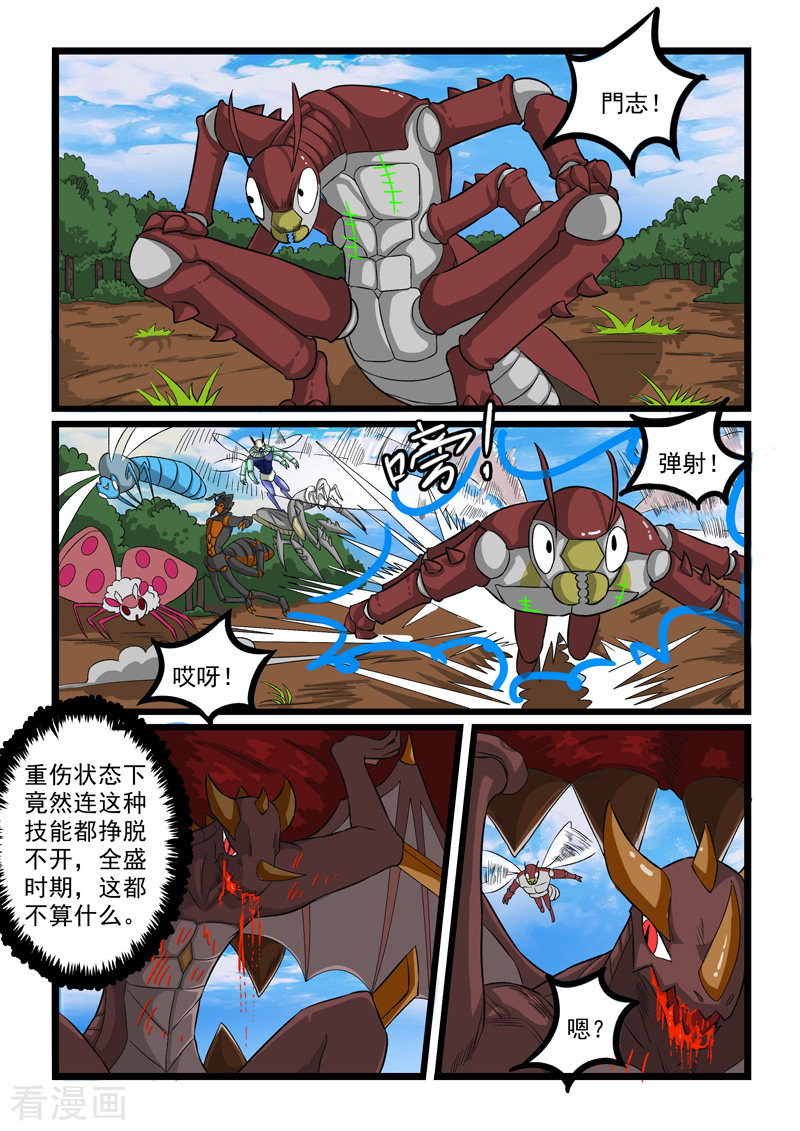 噬龙蚁245话