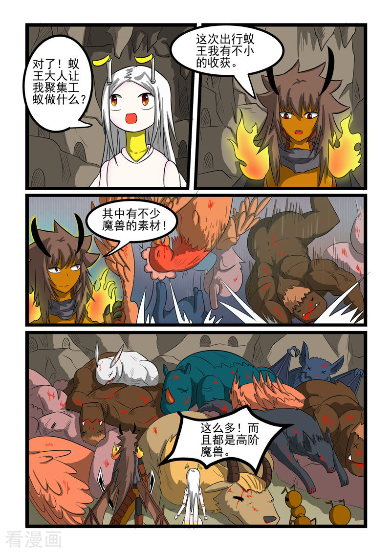 噬龙蚁266话