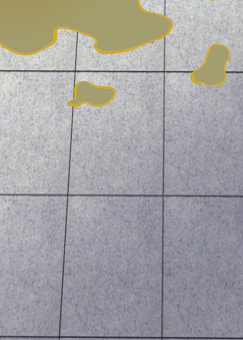 武道独尊第252话