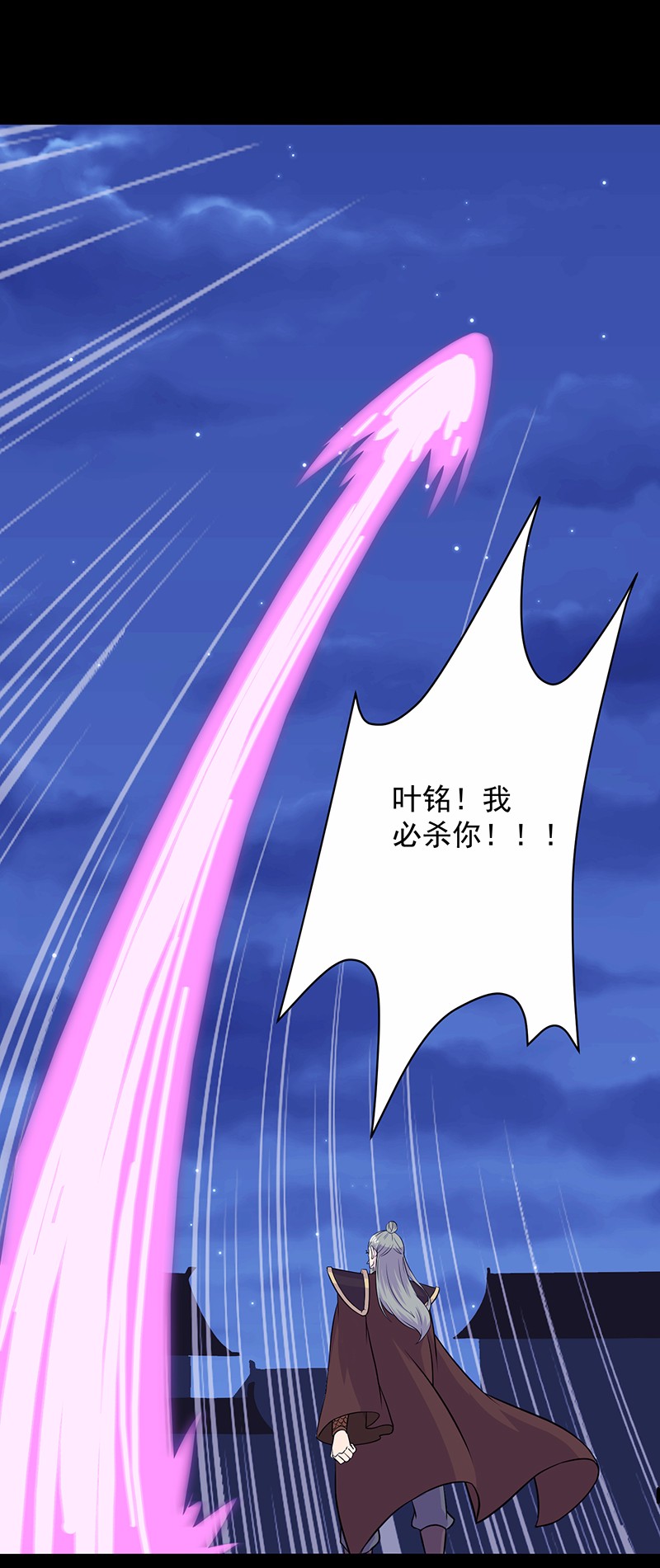 武道独尊27