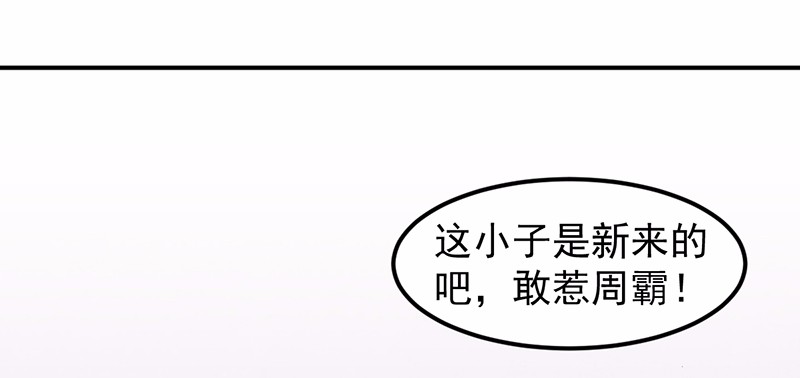 武道独尊39