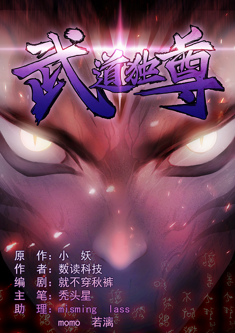 武道独尊41
