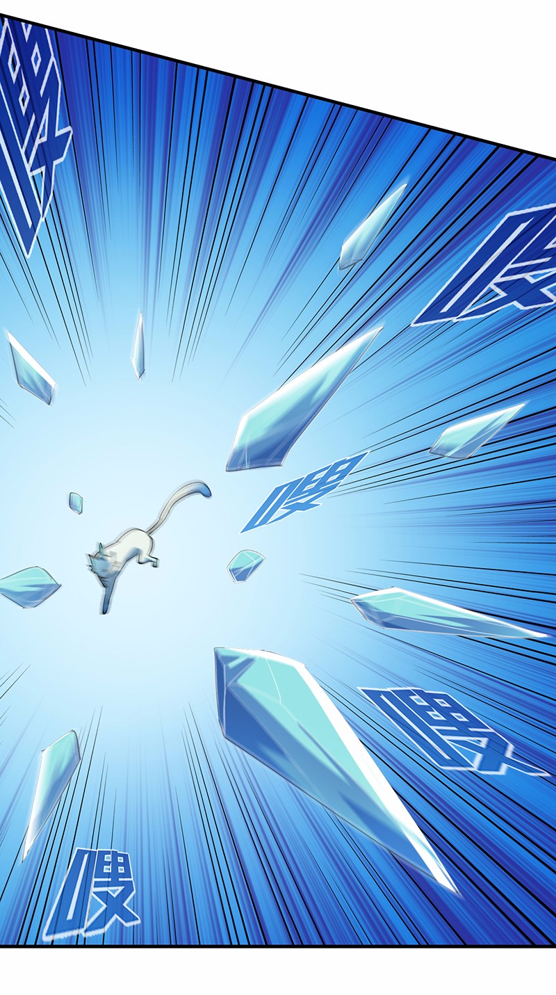 武道独尊67