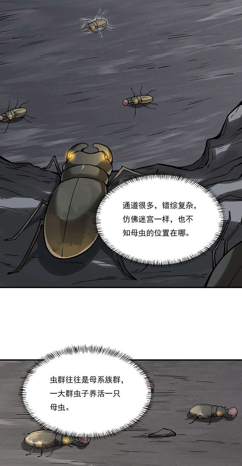 武道独尊第383话