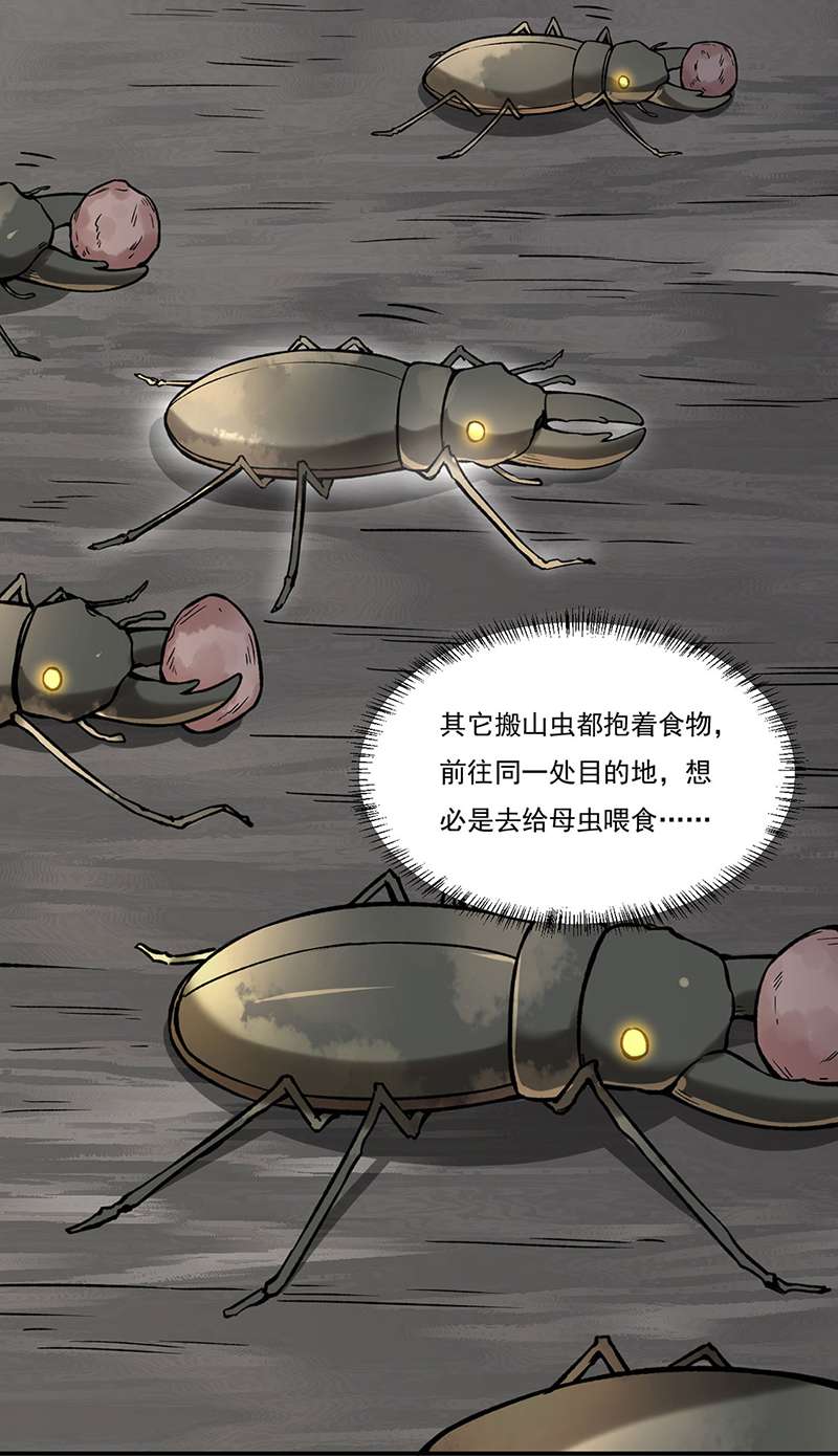 武道独尊第383话