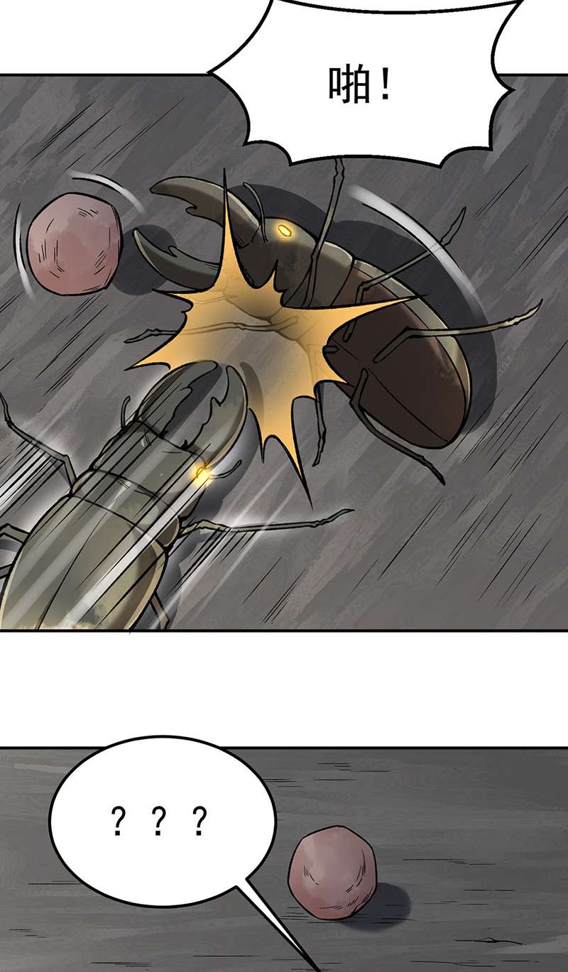 武道独尊第383话