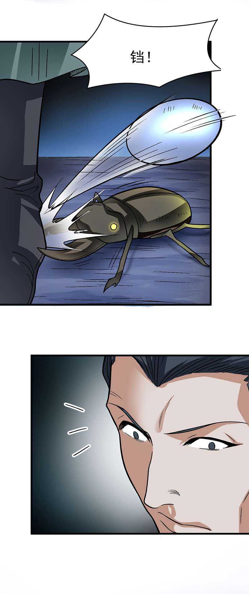 武道独尊第384话