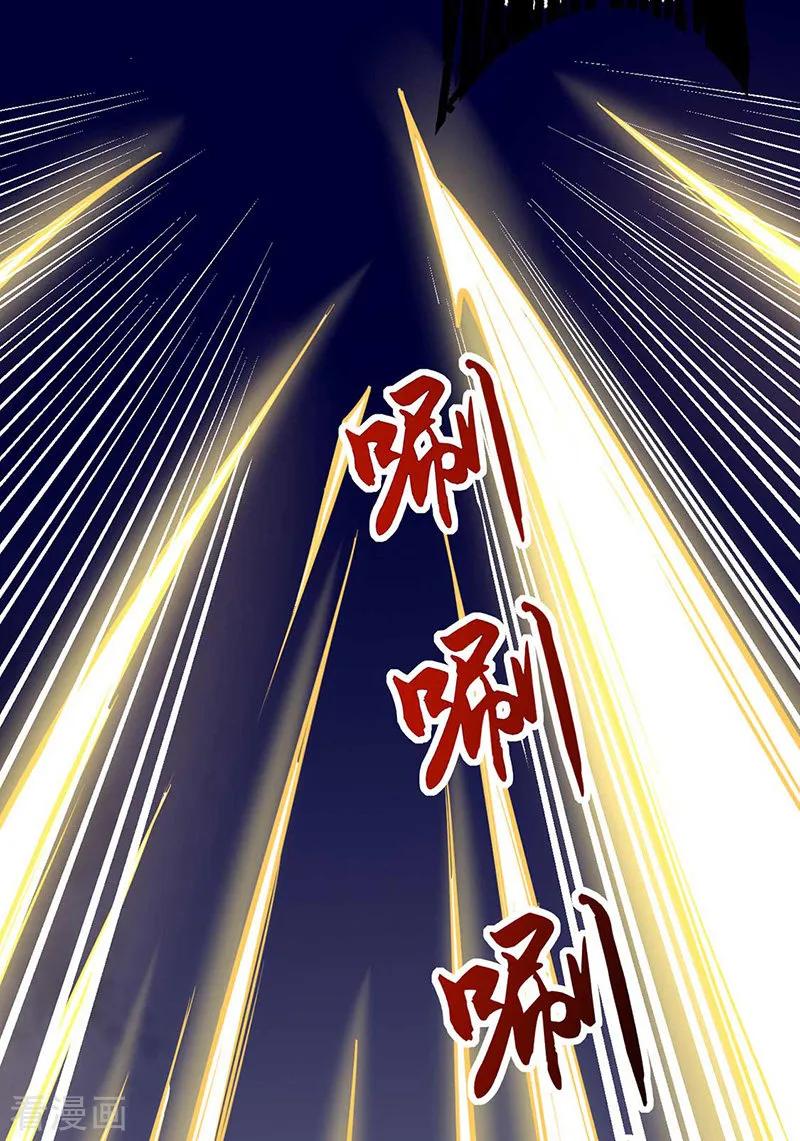 武道独尊196话 斩圣地弟子！