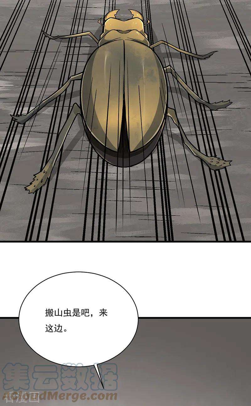 武道独尊382话 傀虫符道