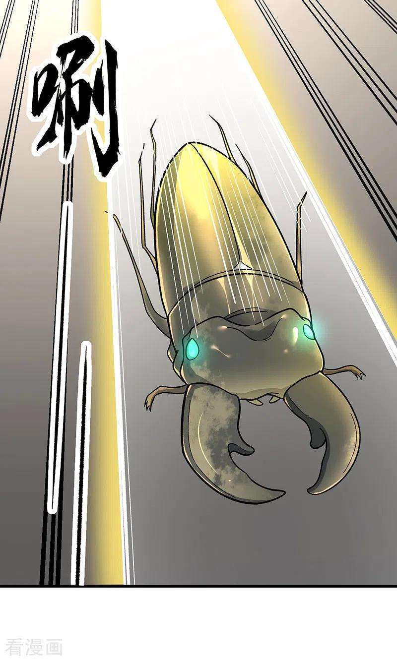 武道独尊382话 傀虫符道