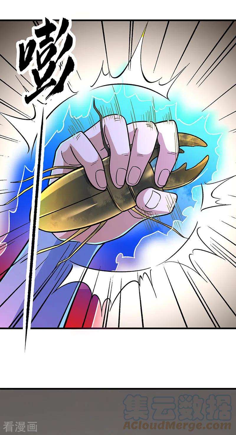 武道独尊382话 傀虫符道