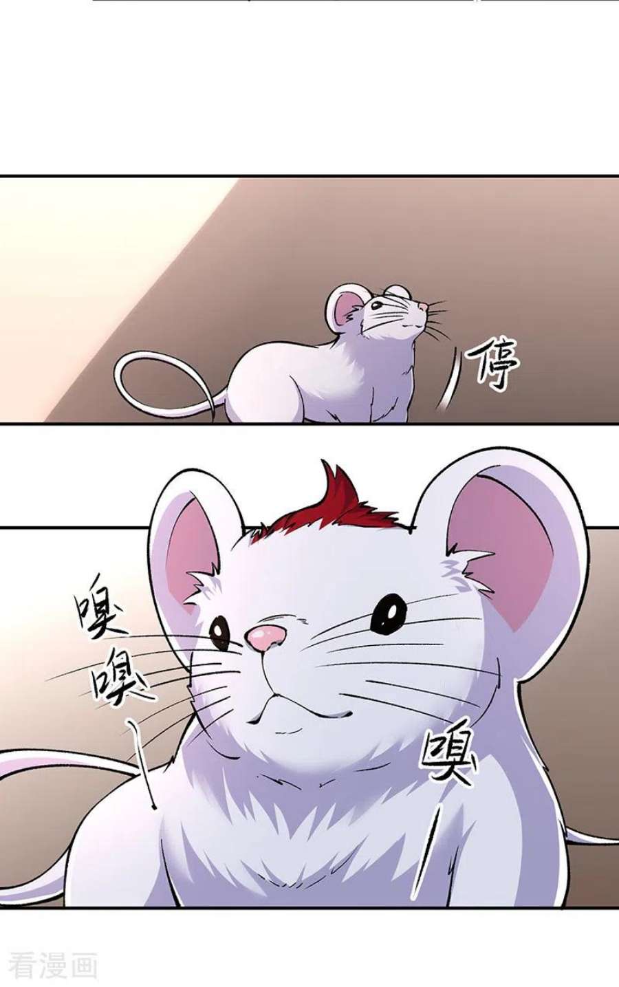 武道独尊446话 捅了寻宝鼠窝