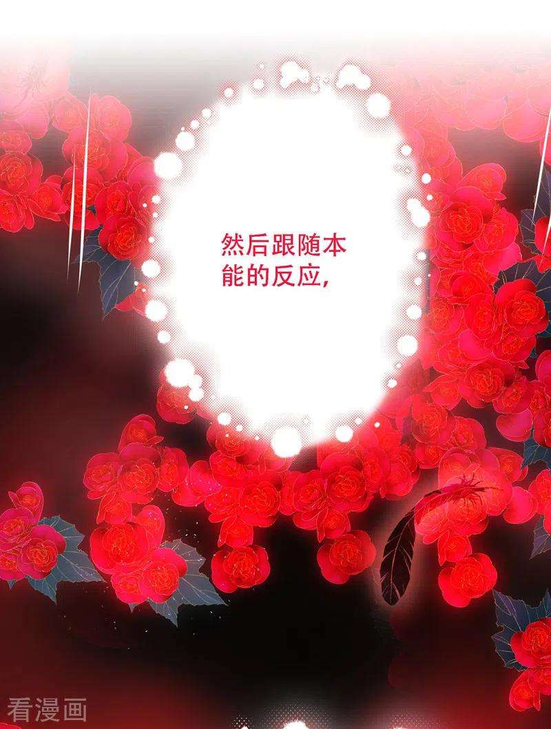 重生空间：豪门辣妻不好惹181话 我不会再让你哭了