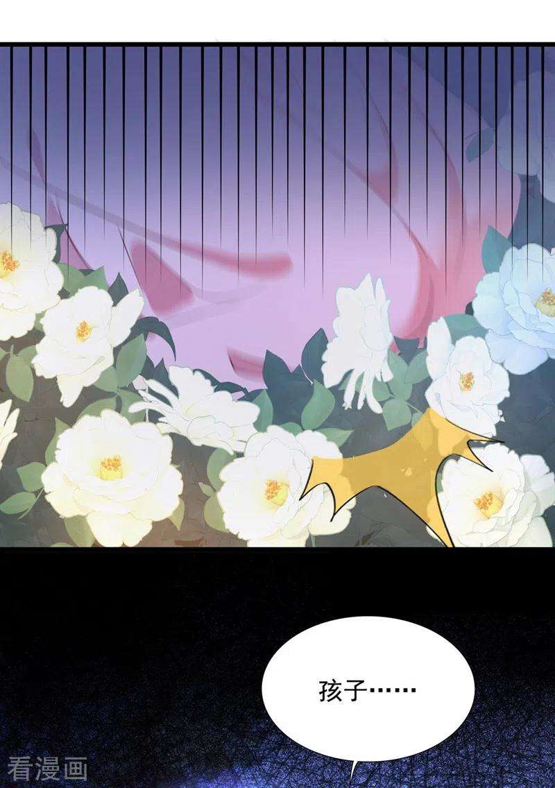 重生空间：豪门辣妻不好惹239话 宝宝，你一定会平安