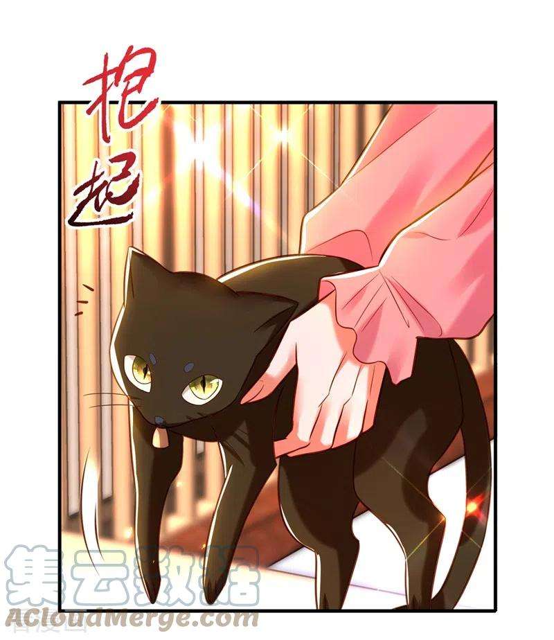 重生空间：豪门辣妻不好惹252话 白晴月？她怎么在这