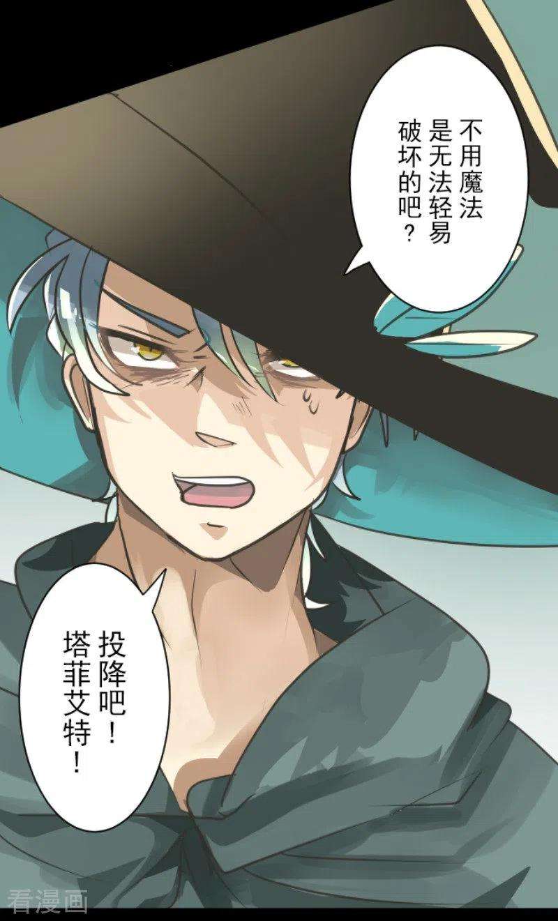 他和她的魔法契约130话 过去篇19