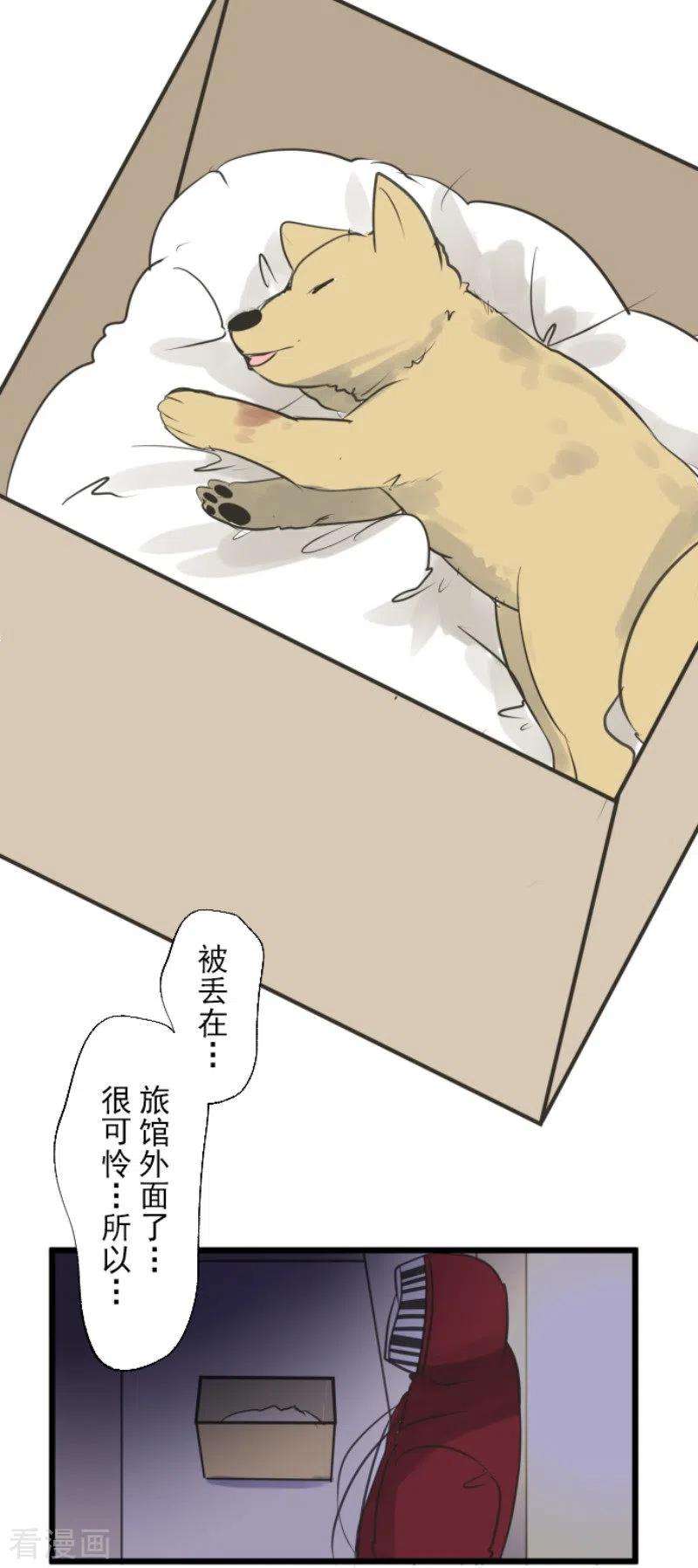 他和她的魔法契约134话 威利诺
