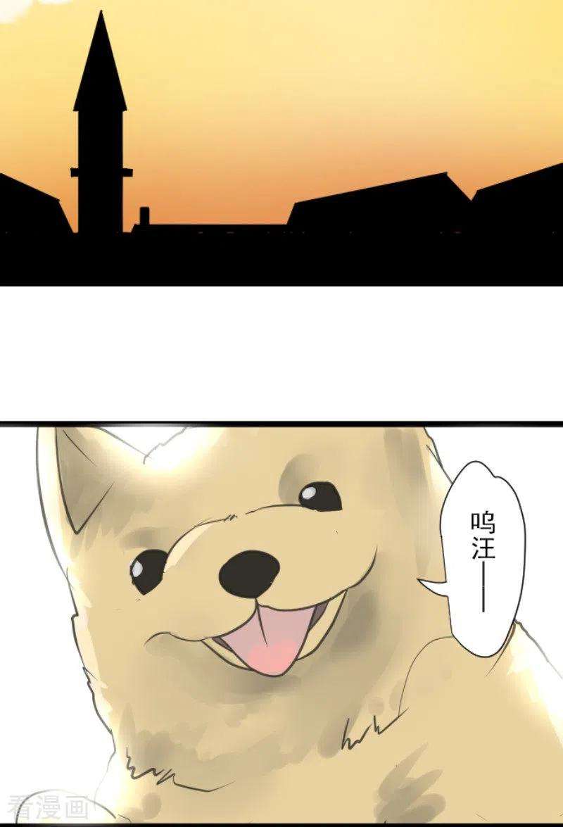 他和她的魔法契约134话 威利诺