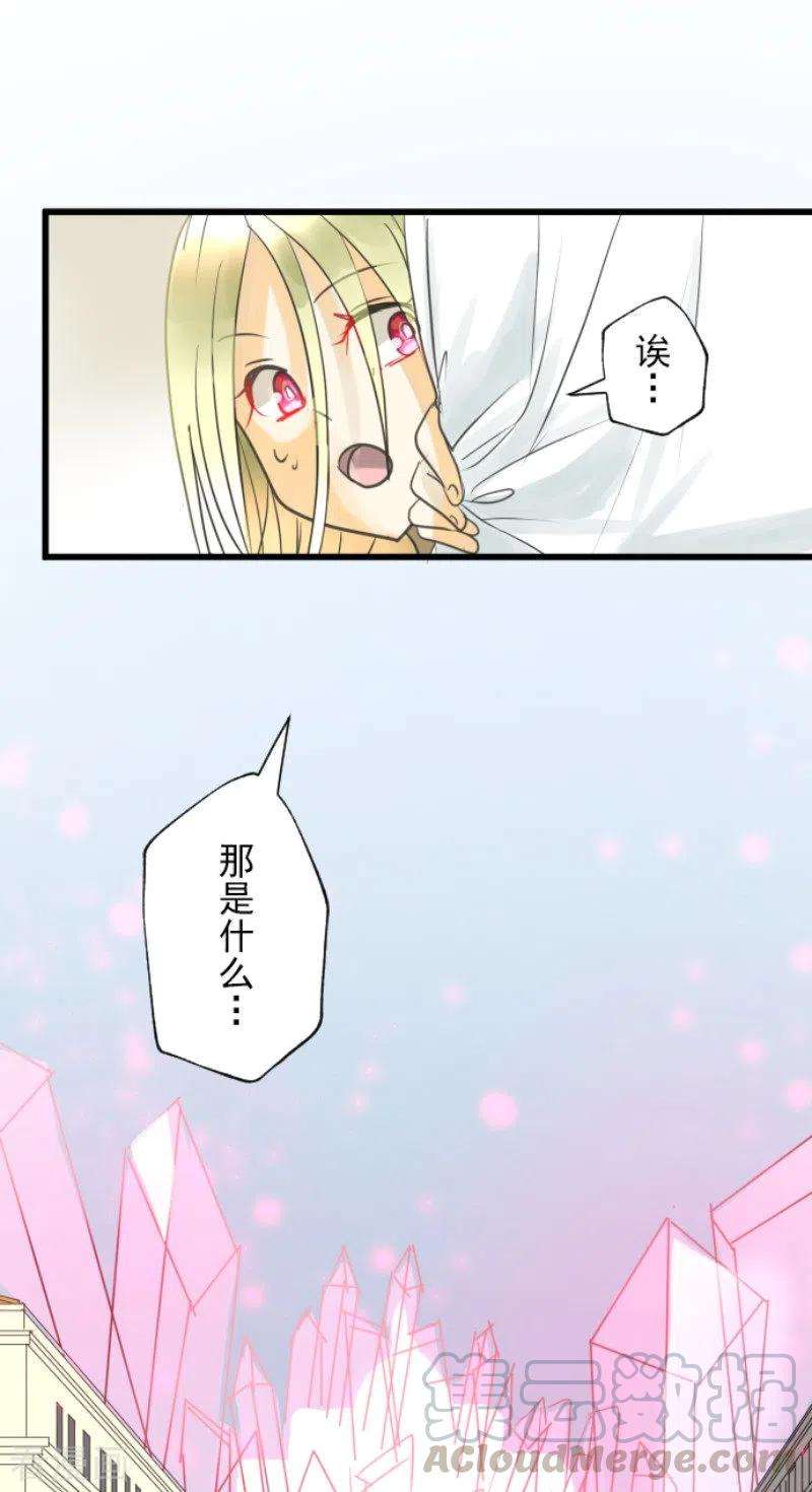 他和她的魔法契约138话 人间兵器2