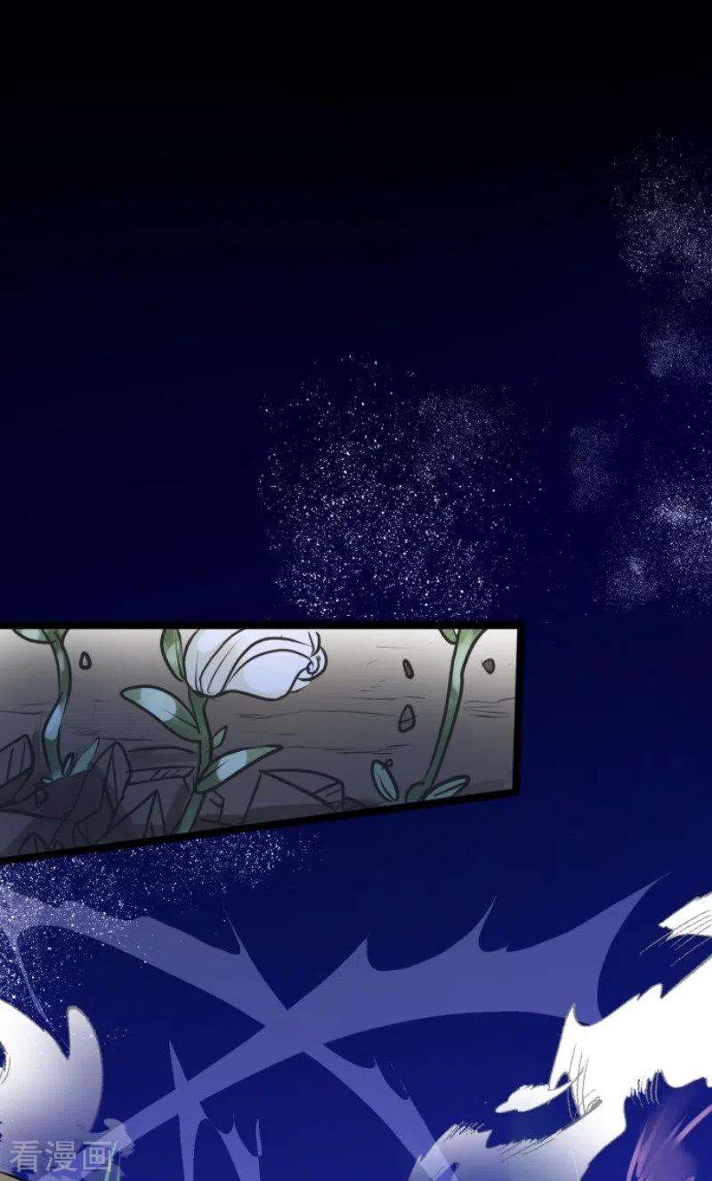 他和她的魔法契约179话 间奏曲2