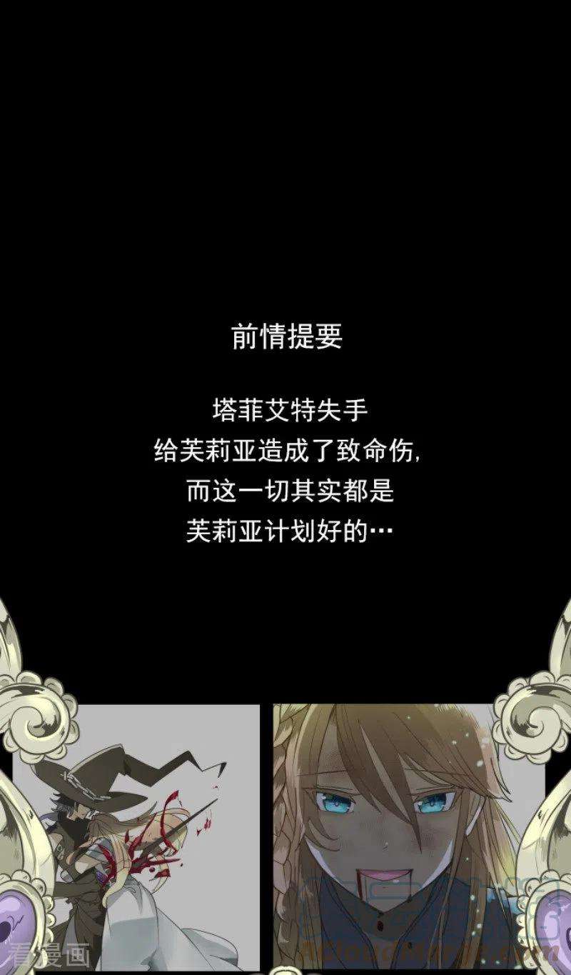 他和她的魔法契约191话 过去篇26