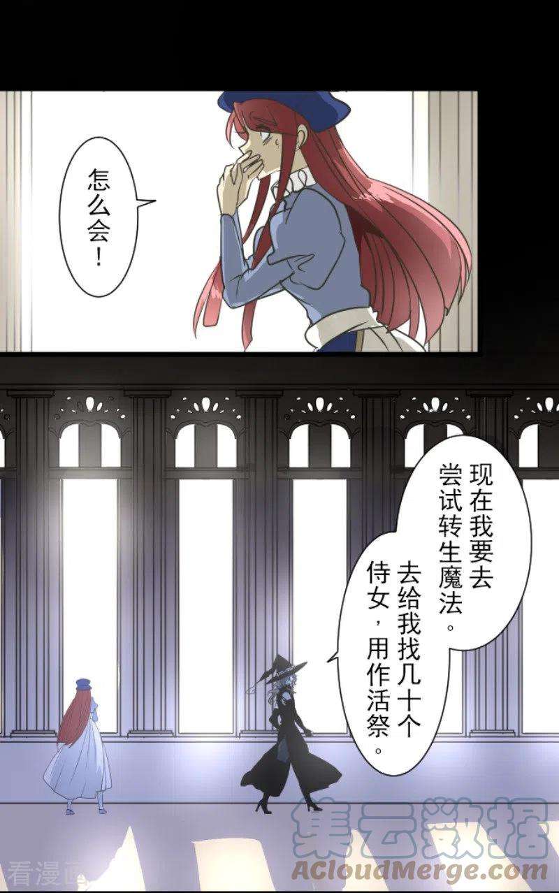 他和她的魔法契约191话 过去篇26