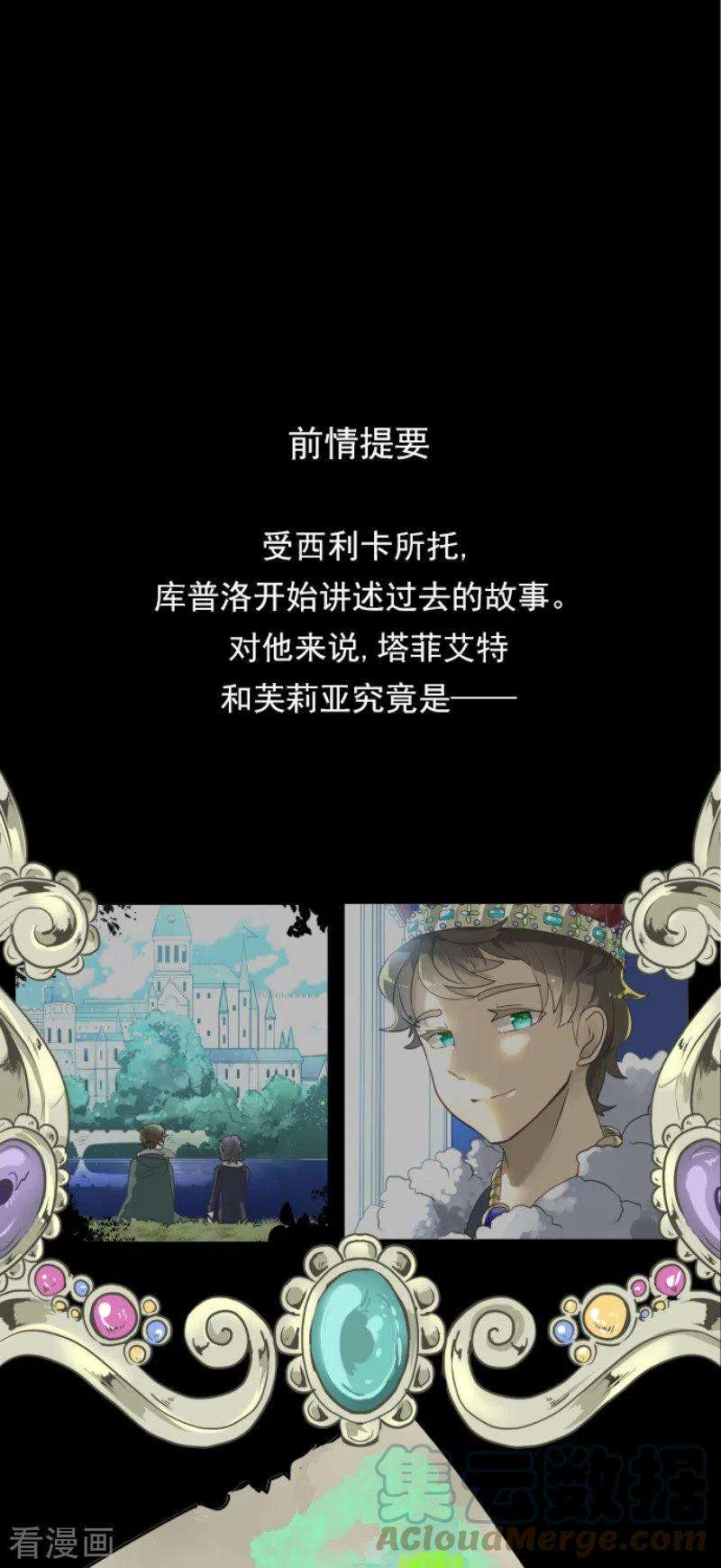他和她的魔法契约199话 过去篇28