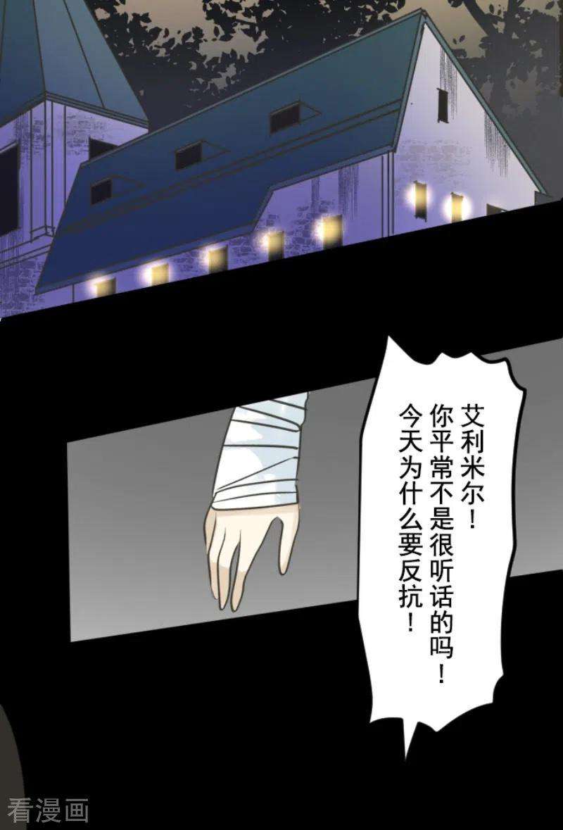 他和她的魔法契约206话 过去篇29