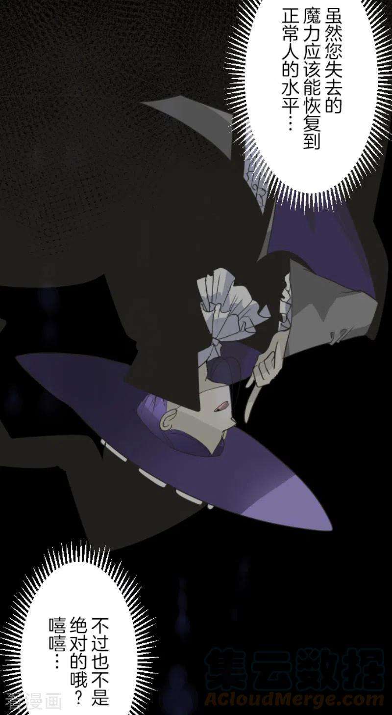 他和她的魔法契约206话 过去篇29