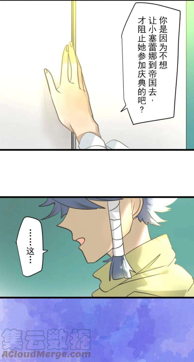 他和她的魔法契约208话 妖精王