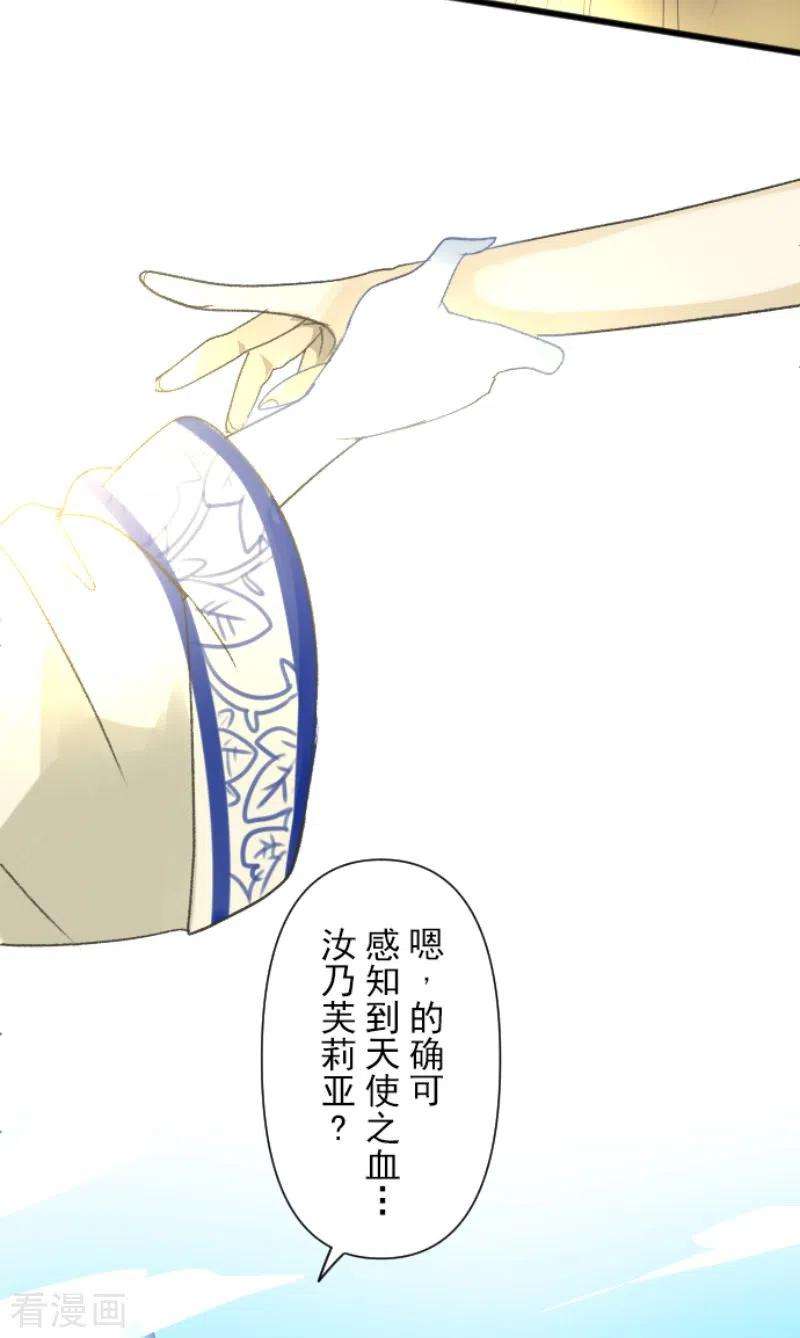 他和她的魔法契约208话 妖精王
